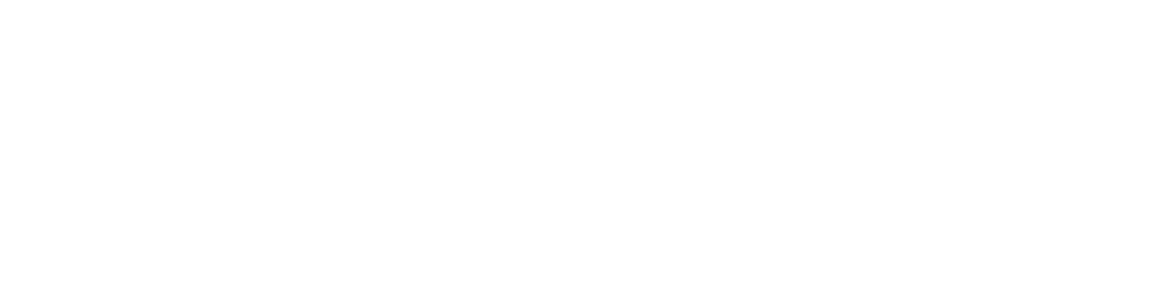 Logo-BO-Concept