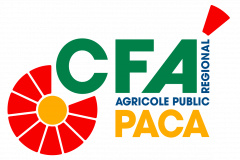 CFA