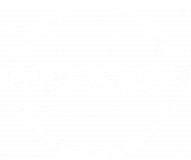 Nissan_2020_logo.svg